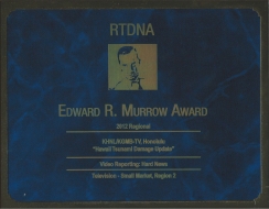 <h5>Edward Murrow Award</h5><p>Regional Winner</p>